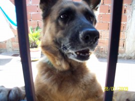 Martina